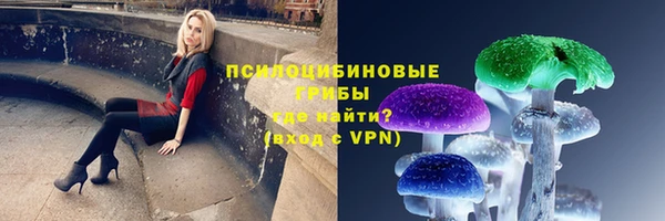ГАЛЛЮЦИНОГЕННЫЕ ГРИБЫ Алзамай