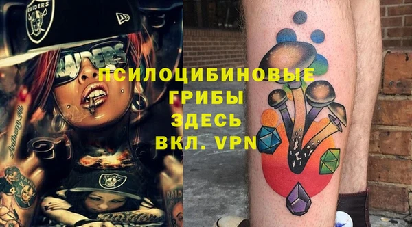 хмурый Алексеевка