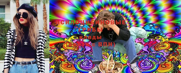 гидра Алексин