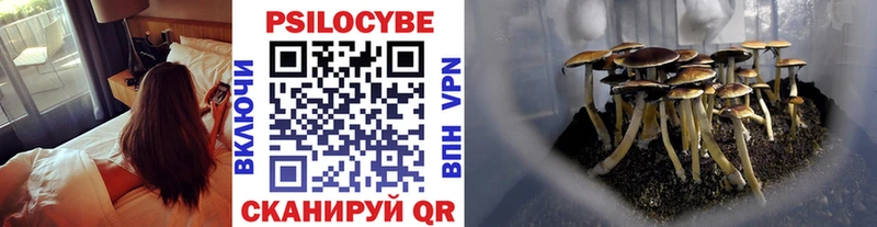 Галлюциногенные грибы Psilocybine cubensis  Тюкалинск 